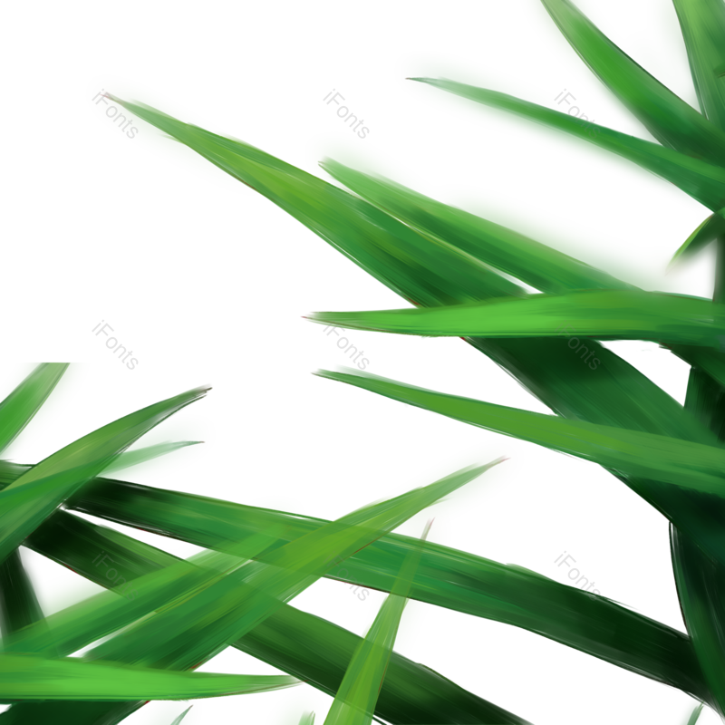 端午图片,插画元素,植物素材PNG,绿色元素免抠素材